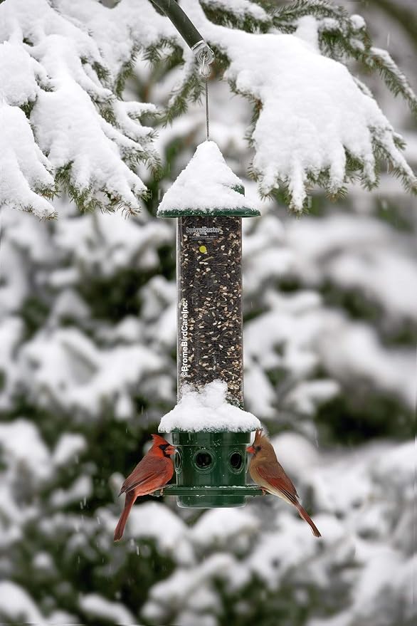 Squirrel Buster Plus Squirrel-proof Bird Feeder w/Cardinal Ring and 6 Feeding Ports, 5.1-pound Seed Capacity, Adjustable, Pole-mountable (POLE ADAPTOR SOLD SEPARATELY), Green | Squirrel-Proof Weight-Activated Shroud, Cardinal Ring, 6 Ports, 5.1 Lb Capa...