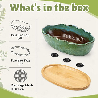 Succulent Pot 11 Inch Large Succulent Planters with Drainage Ceramic Bonsai Pot with Bamboo Tray Round Shallow Planter for Indoor Cactus Flower Planter Window Box for Home Garden Decor (Green)