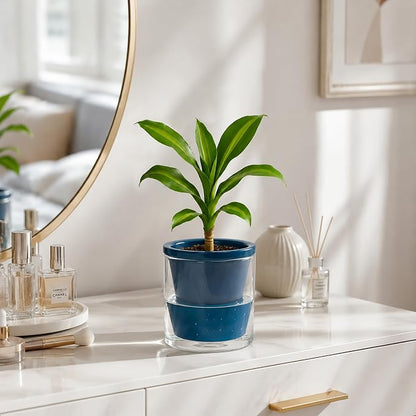 D'vine Dev 4 Inch Design Self Watering Planter for Indoor Plants, Blue Terracotta Pot with Cylinder Glass Cup, 37-X-A-4