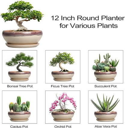 SQOWL Bonsai Pots 12 Inch - Large Ceramic Succulent Planters, Shallow Planter with Drainage Hole and Saucer, Round Bowl Planter for Indoor Outdoor Plants, Home Decor, Plant Lover Gifts, Beige