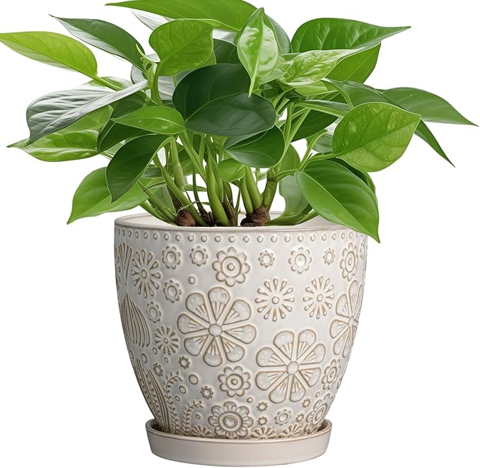 MPotTo 6.9 Inch Plant Pot with Drainage Hole and Saucer Ceramic Planter for Indoor Plant Flower Pot for Orchid Succulents Plants White