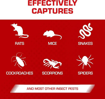 Tomcat Glue Traps Rat Size with Eugenol for Enhanced Stickiness, 24 Traps | Also Captures Mice, Cockroaches, Snakes, Scorpions, and Spiders, Ready-to-Use, 6 Packages with 4 Glue Traps Each