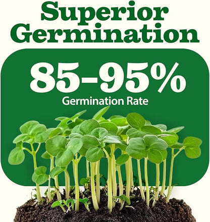 32 Heirloom Vegetable and Fruit Seeds for Planting - 16,000+ Seeds | Non-GMO Survival Seed Vault | High Germination | 32 Varieties of Vegetable Seeds for Your Home Survival Garden