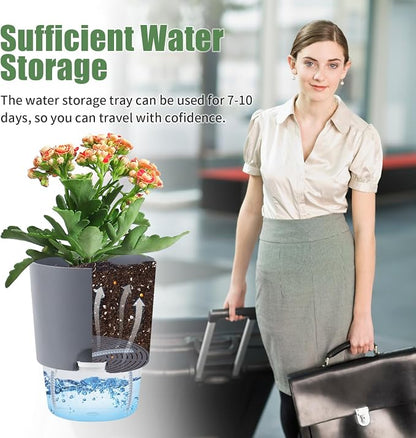 Oliz Self Watering Planters for Indoor Plants : 6 inch 3 Pack White African Violet Self Watering Flower and Herb pots
