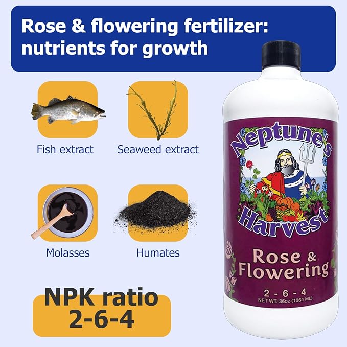 Neptune's Harvest Rose & Flowering Fertilizer (2-6-4) - 36oz Bottle - Organic Liquid Food for Vibrant Blooms & Growth - Promotes Healthy Foliage - Ideal Fertilizer for Indoor & Outdoor Use