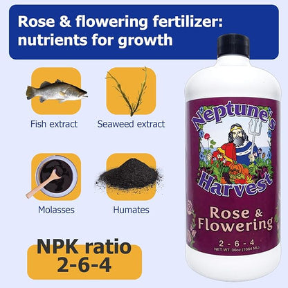 Neptune's Harvest Rose & Flowering Fertilizer (2-6-4) - 36oz Bottle - Organic Liquid Food for Vibrant Blooms & Growth - Promotes Healthy Foliage - Ideal Fertilizer for Indoor & Outdoor Use
