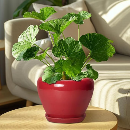 Ceramicfor Ceramic Planter for Indoor Plants 8 Inch - Ceramic Plant Pot with Drainage Hole and Saucer, Glaze Round Decorative Modern Flower Pot, Housewarming Gift, Home Room Office Decor, Red