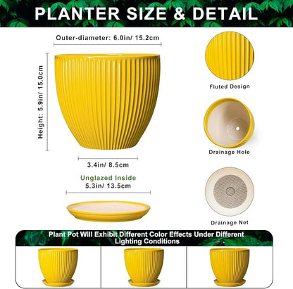 6 Inch Plant Pot, Ceramic Planter with Drainage Hole and Saucer, Decorative Small Plant Pots for Indoor Plants, Modern Round Flower Pot, Home Office Room Decor, House Warming Gifts, Yellow
