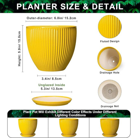 6 Inch Plant Pot, Ceramic Planter with Drainage Hole and Saucer, Decorative Small Plant Pots for Indoor Plants, Modern Round Flower Pot, Home Office Room Decor, House Warming Gifts, Yellow