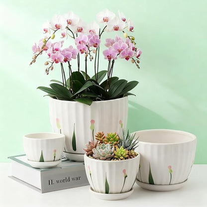 4 Pack Ceramic Orchid Pots with Drainage Holes and Tray 3.35+4.33+5.51+6.61 Inch Ceramic Plant Pot White Garden Planter for Indoor Outdoor Home Decor Gifts for Plant Lovers