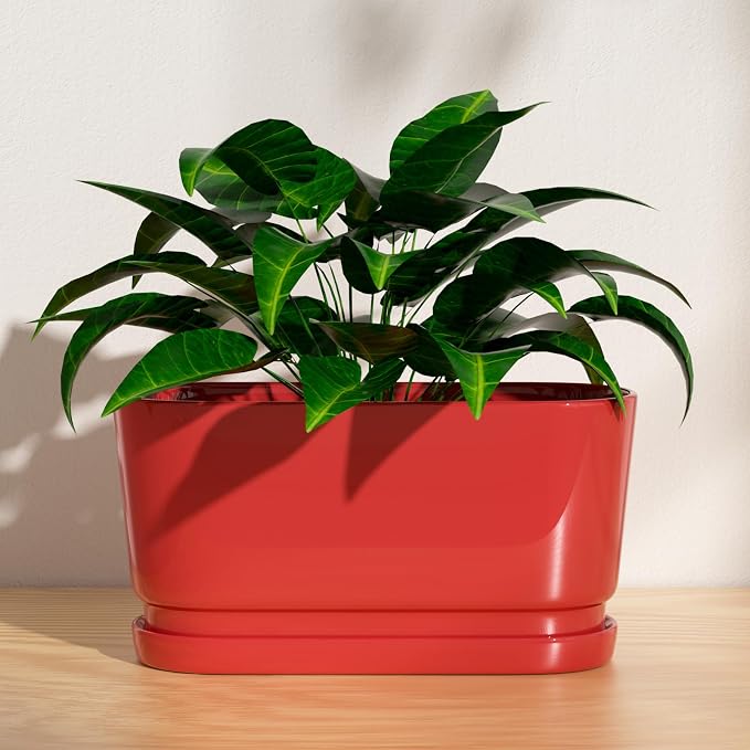 13" Rectangular Ceramic Planter with Drainage and Saucer, Red | Indoor Outdoor Use, 13"L x 5.5"W x 6.3"H, Modern Home Decor, Window Box Planter, Red Glossy Finish
