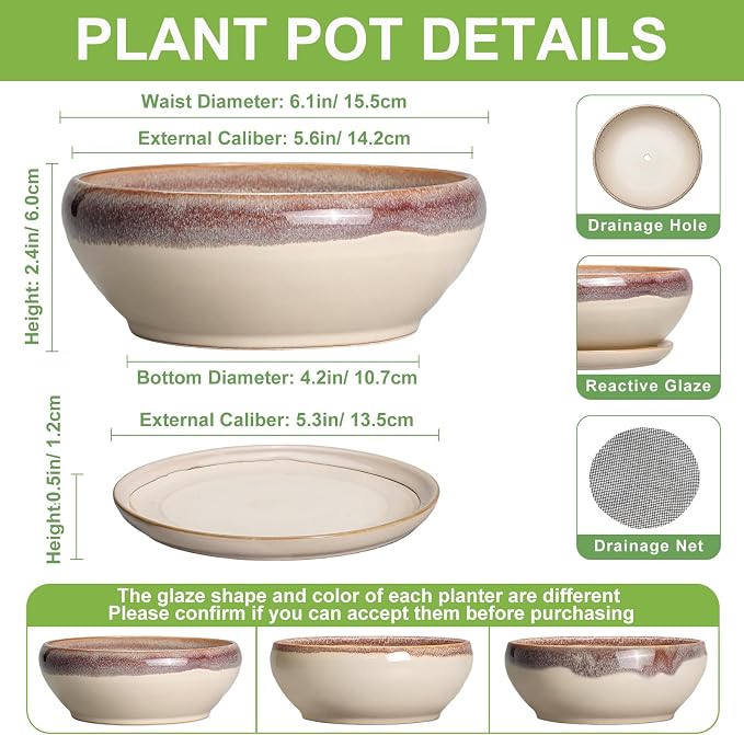 SQOWL Small Bonsai Pots - 6 Inch Ceramic Plant Pots for Succulents, Shallow Planter with Drainage Hole and Saucer, Round Planters for Indoor Outdoor Cactus Plants, House Decor, Birthday Gifts, Beige