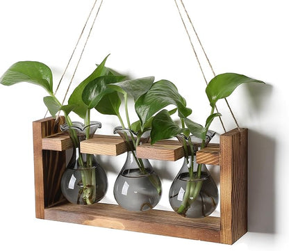 Plant Propagation Station Plant Terrarium Unique Birthday Gifts for Women | Plant Lovers Home Office Decor Planter with Wooden Stand - 3 Bulb Glass Vase