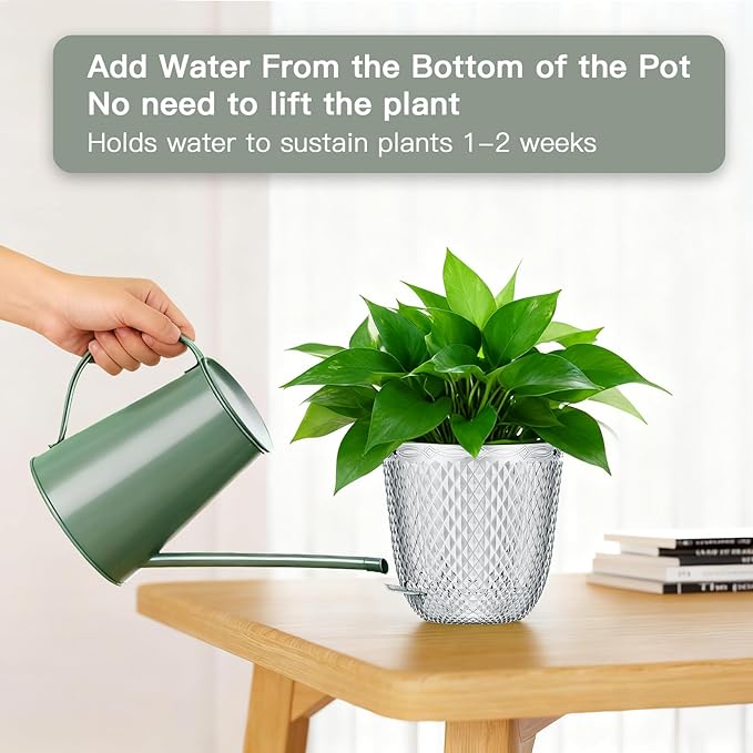 QCQHDU 2 Pack Self Watering Pots, 5.7 Inch, with Drainage Holes, Clear | Plastic Garden Planter with Water Filling Port for Indoor Plants