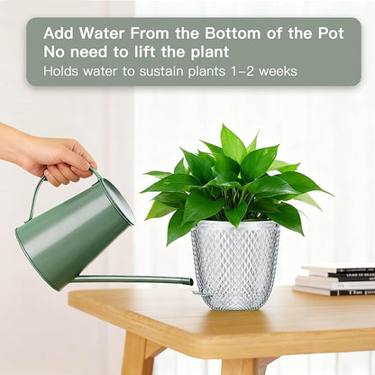 QCQHDU 2 Pack Self Watering Pots, 5.7 Inch, with Drainage Holes, Clear | Plastic Garden Planter with Water Filling Port for Indoor Plants