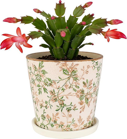 Ceramic Flower Pots For Indoor Plant, 5.5 Inch Small Ice Crack Plant Pots With Drainage Hole & Saucer, Decorative Vintage Planters For Succulent Herb Cactus Mint Basil, Garden Pot For Home Decor