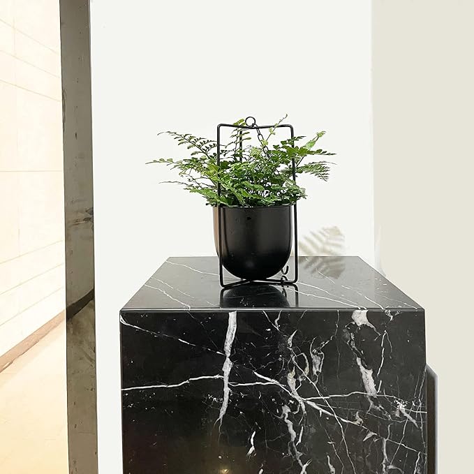Metal Plant Hanger,Hanging Planters Indoor Hanging Flower Pots (Black)