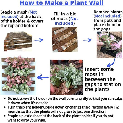 ShopLaLa Wall Planter - 2 Pack Wooden Hanging Succulent Wall Decor, Live Air Plants Orchids Wall Mounted Holder Frame Display for Indoor Outdoor, Living Plant Wall Decor Balcony Garden | Live Air Plants Orchids Wall Mounted Holder Frame Display for Ind...