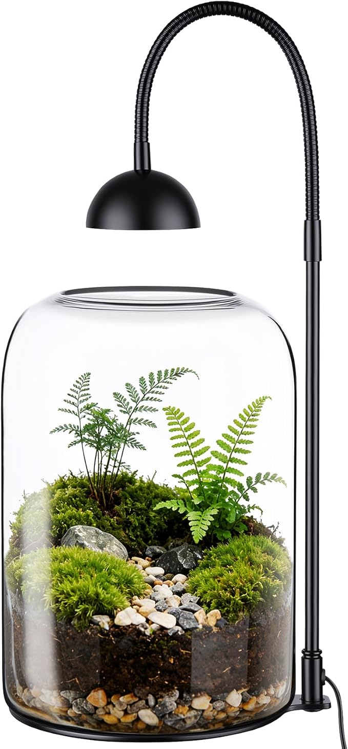 Glass Plant Terrarium with LED Grow Light, Adjustable Ventilation Desktop Indoor Planter for Venus Fly Trap, Moss & Succulents, 8.2" Borosilicate Mini Greenhouse for Home Office Decor