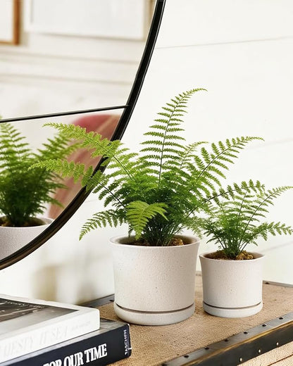 Ceramic Plant Pots Set of 3, 4.3"/5.6"/6.9" Indoor Plant Pots with Drainage Hole and Attached Saucer, Modern Ceramic Planters for Indoor Plants, Succulents, Herbs, Matte White Flower Pots