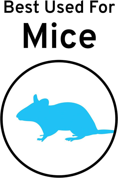 Victor M123SSR Quick-Kill Easy Set Mouse Trap,6 Reusable Victor Mouse Traps,(Pack of 6)