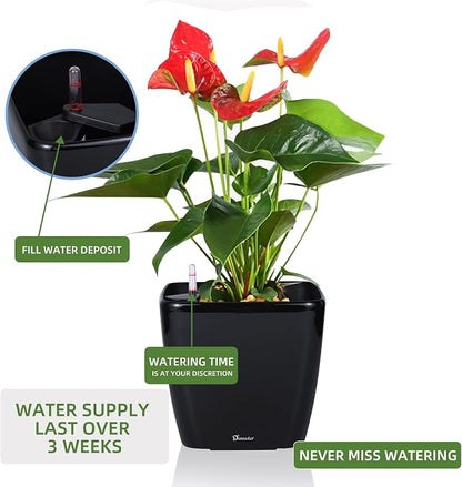 Dexceder 11x10 Self Watering Planter (Black High Gloss) | Inner Mat Design, Thickened Table Flower Plant Pot with Water Level Indicator Indoor Outdoor