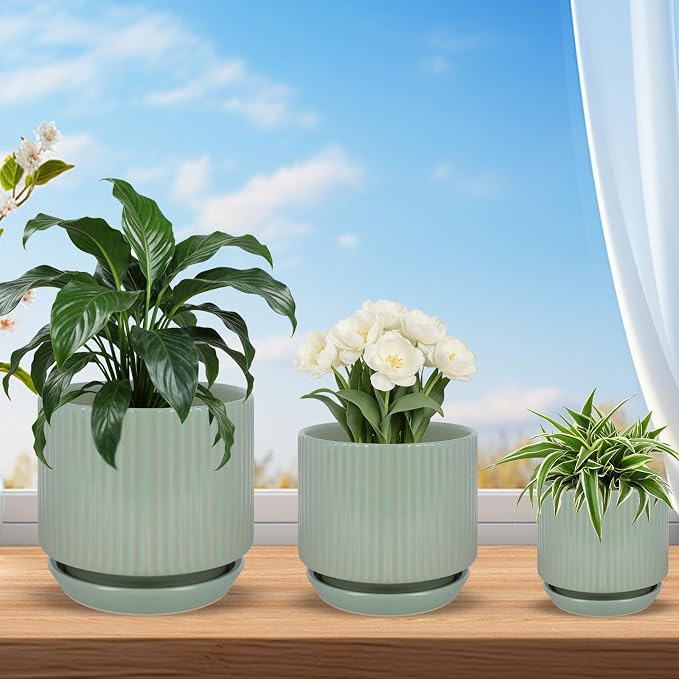 Ceramic-Flower-Pots-Sets-with-Saucer, 5/6/8 inch Small Planters for Indoor Plants with Drainage Hole, White Vertical Stripe Plant Pots for Home Decor, Outdoor Garden Pot For Succulent Cactus Herb