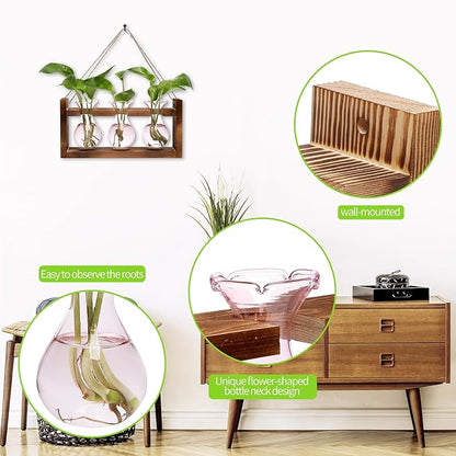 Plant Propagation Station Plant Terrarium Unique Birthday Gifts for Women | Plant Lovers Home Office Decor Planter with Wooden Stand - 3 Bulb Glass Vase
