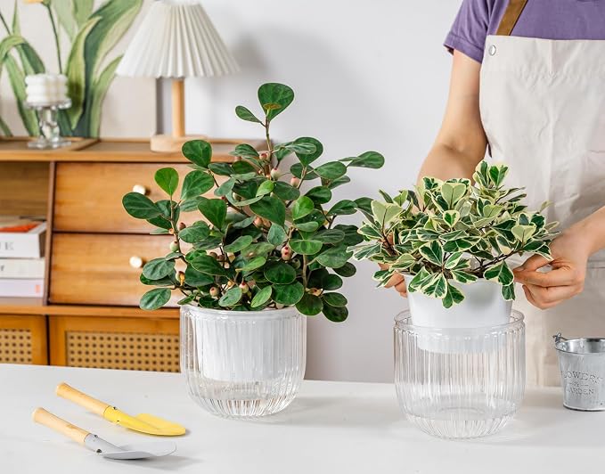Melphoe Self Watering Pots for Indoor Plants Planter, 6.5 Inch 2 Pack Planters Self Watering Plant Pots for Flower, Houseplants, Succulent, African Violets and Cactus with Drainage