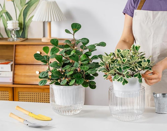Melphoe Self Watering Pots for Indoor Plants Planter, 6.5 Inch 2 Pack Planters Self Watering Plant Pots for Flower, Houseplants, Succulent, African Violets and Cactus with Drainage
