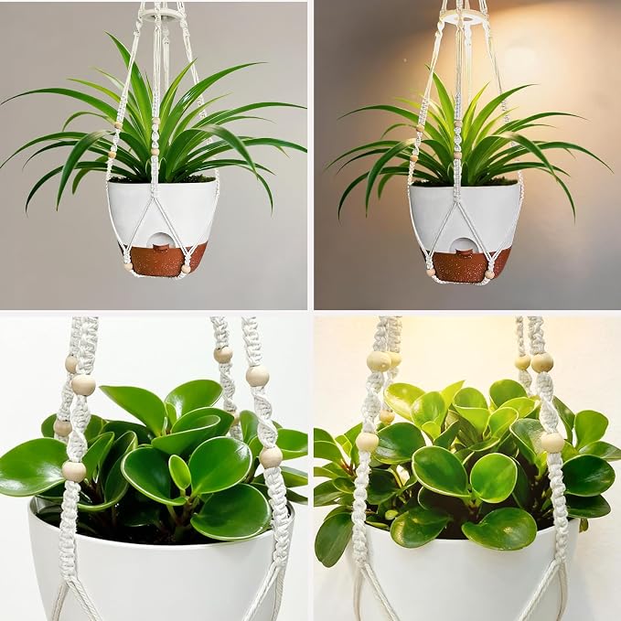 2 Pack Self Watering Hanging Planters with Grow Light for Indoor Plants | 10 Brightness, 3 Light Modes, 3/9/12H Timer, Built-In Reservoir, Drainage Holes, 10 in Pots