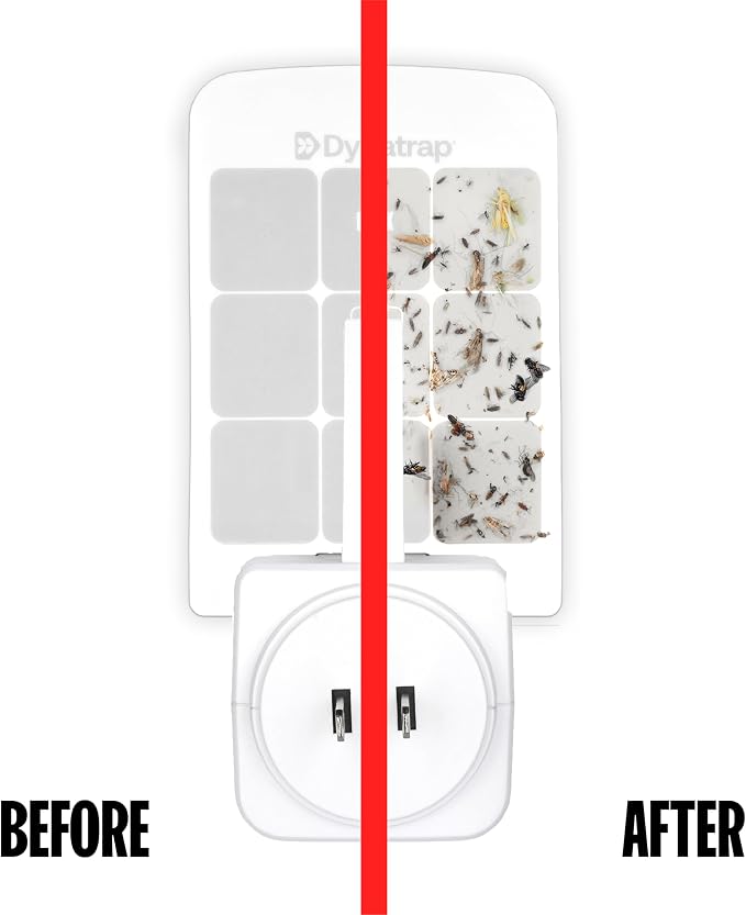 Dynatrap DT3007W Indoor Plug-in Flying Insect Trap for Flies, Fruit Flies, Moths, Gnats, and Other Flying Insects - 1 White Device + 2 Glue Cards