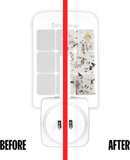 Dynatrap DT3007W Indoor Plug-in Flying Insect Trap for Flies, Fruit Flies, Moths, Gnats, and Other Flying Insects - 1 White Device + 2 Glue Cards