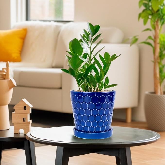 BUYMAX Plant Pots Indoor –6 inch Ceramic Flower Pot with Drainage Hole and Ceramic Tray - Gardening Home Desktop Office Windowsill Decoration Gift, Set of 2(Royal Blue)