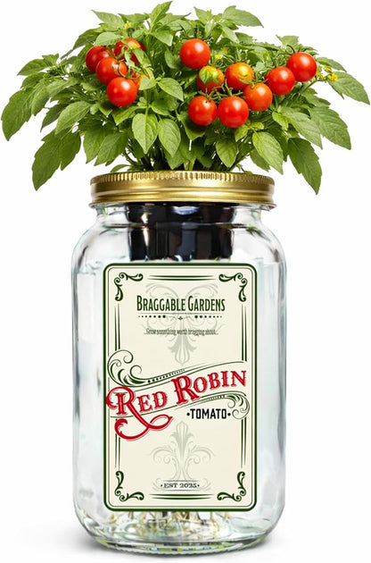 Red Robin Cherry Tomato Indoor Garden Kit – Mason Jar Hydroponic Tomato Grow Kit – Windowsill Countertop Tomato Planter – Grow Tomatoes Indoors