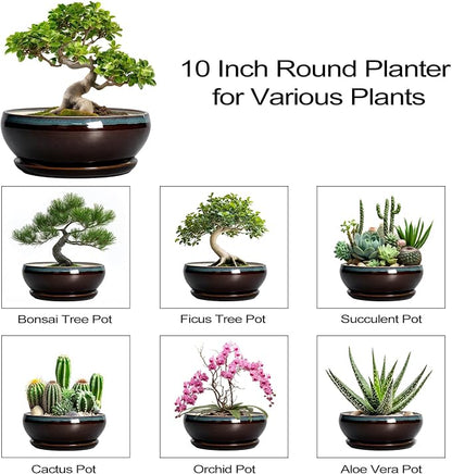 SQOWL Bonsai Tree Pots - 10 Inch Ceramic Succulent Pots with Drainage Hole and Saucer, Round Shallow Plant Pot Indoor Outdoor, Ceramic Bonsai Pot, Bowl Planter, Home Decor, Garden Gifts, Blue-Brown
