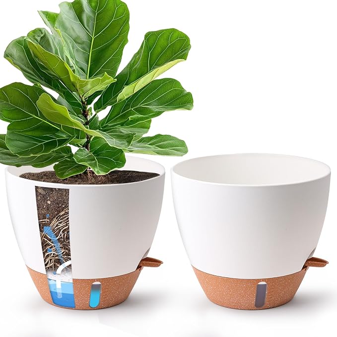 2 Pack 10 Inch Self Watering Pots - Water Level Indicator & Deep Reservoir, Mess-Free Planter for Busy People, Beginners & Gardeners, Fiddle Leaf Fig, Monstera, ZZ Plants, Indoor Outdoor Use (White)