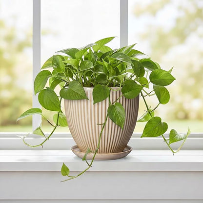 Ceramic Plant Pot, 6 Inch Succulent Pots with Drainage Hole and Saucer, Decorative Pot for Indoor Plants, Modern Indoor Flower Pots, Round Planter, Bedroom Decor, Plant Lover Gifts, Beige