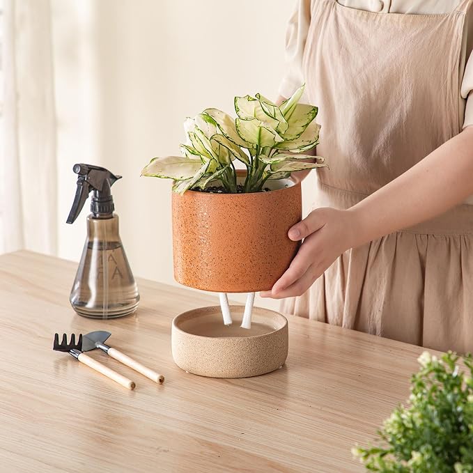 6 Inch Ceramic Self Watering Planter with Drainage Hole Terracotta | Indoor Plant Pot with Water Storage Plus - for African Violet, Herbs & Pothos - Home & Office Decor, Cylinder Round