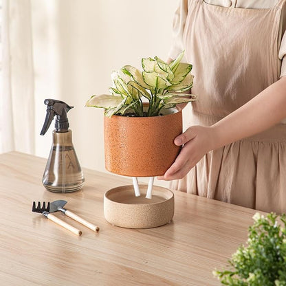 6 Inch Ceramic Self Watering Planter with Drainage Hole Terracotta | Indoor Plant Pot with Water Storage Plus - for African Violet, Herbs & Pothos - Home & Office Decor, Cylinder Round