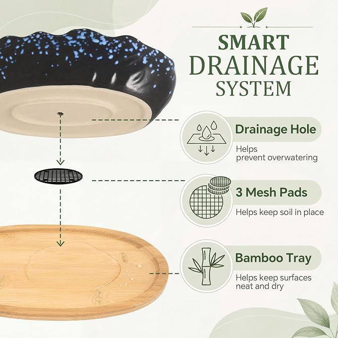 Succulent Pot 10 Inch Large Succulent Planters with Drainage Ceramic Bonsai Pot with Bamboo Tray Round Shallow Planter for Indoor Cactus Flower Planter Window Box for Home Garden Decor (Starry Blue)