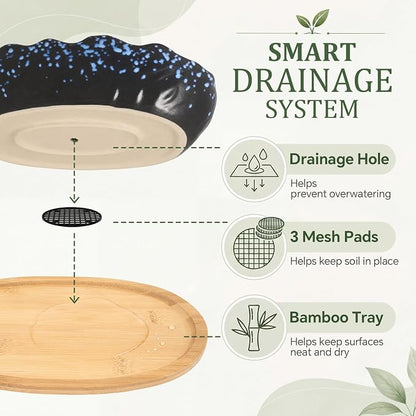 Succulent Pot 10 Inch Large Succulent Planters with Drainage Ceramic Bonsai Pot with Bamboo Tray Round Shallow Planter for Indoor Cactus Flower Planter Window Box for Home Garden Decor (Starry Blue)