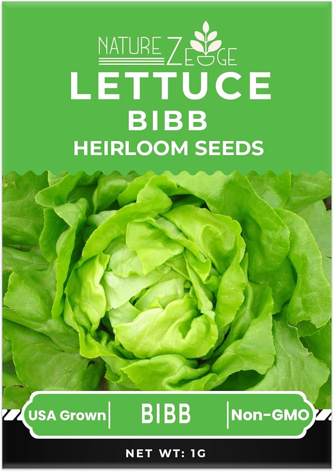 NatureZ Edge Lettuce Seeds for Planting, 4 Popular Varieties Non-GMO Heirloom Seeds, Red Romaine, Bibb Butter, Black Seeded Simpson, Green Ice Lettuce, Romaine, Salad Lettuce, Hydroponic Garden, USA