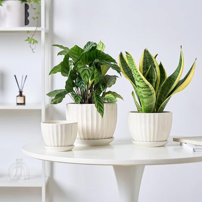 STHIE 4/5/6 Inches Ceramic Plant Pots with Drainage Holes and Saucers, Round Flower Pots for Indoor Plant, Modern Flower Planters Set of 3 (White-Big Size)