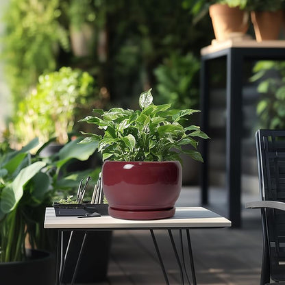 SQOWL Ceramic Planter - 8 Inch Plant Pot with Drainage Hole and Saucer, Round Planter for Indoor Outdoor Plants, Modern Decorative Flower Pots, Home Decor, Plant Lover Gifts, Red