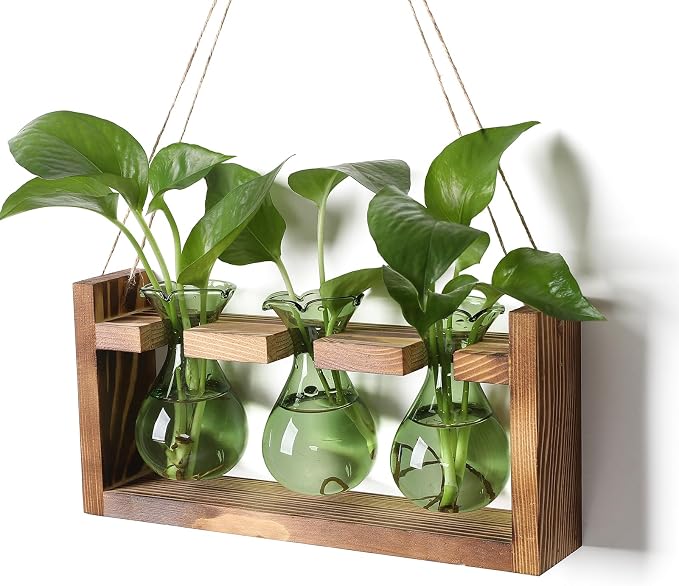 Plant Propagation Station Plant Terrarium Unique Birthday Gifts for Women | Plant Lovers Home Office Decor Planter with Wooden Stand - 3 Bulb Glass Vase