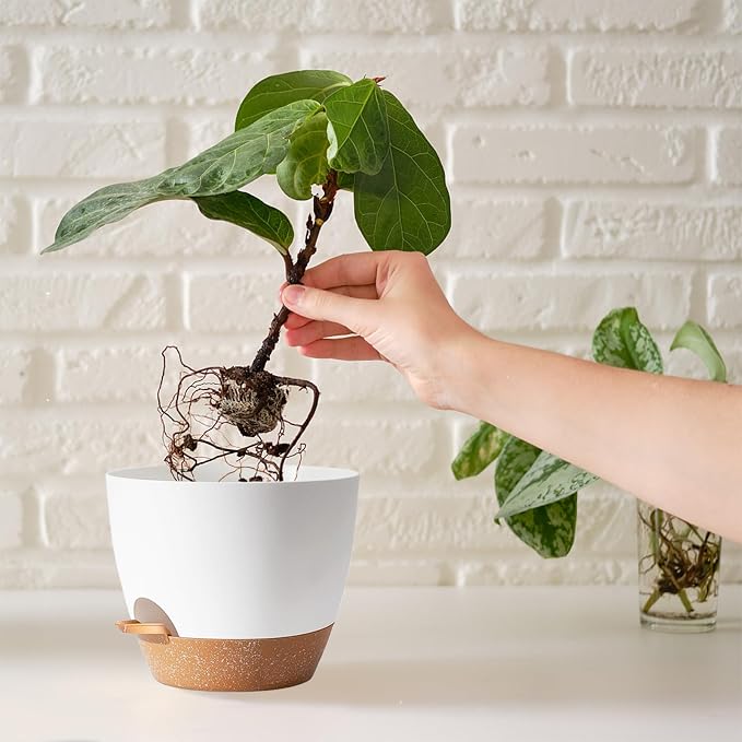 White Self Watering Pots with Drainage Planting Pot for HousePlants Plastic Flower Pots Outdoor Plant Pots Gift Idea Decorative Flower Pots Draining Pots for Indoor Plants