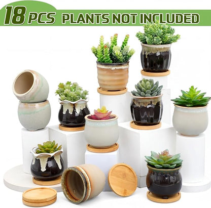 Remerry 18 Pcs Small Succulent Pots Bulk with Drainage 3.5 Inch Assorted Mini Ceramic Succulent Planters Pot with Coaster Bamboo Plant Tray Planting Pots for Home Office Garden