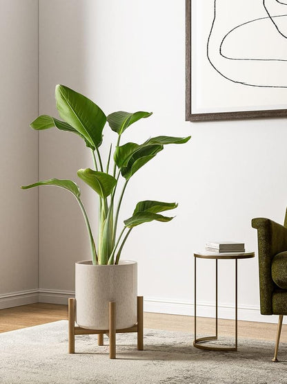 LE TAUCI 10+8+6 Inch Ceramic Pots for Plants, Indoor Planters with Drainage Hole and Plug, Modern Cylinder Flower Pots Set of 3 for Living Room and Bedroom, Glossy, Linen Birch
