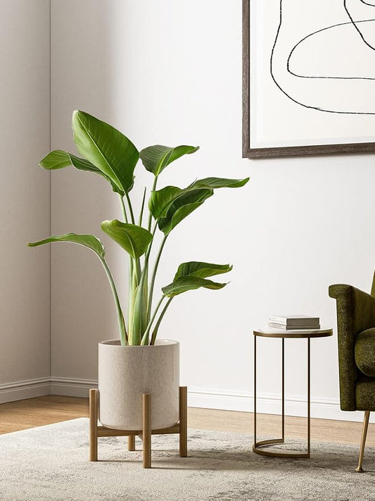 LE TAUCI 10+8+6 Inch Ceramic Pots for Plants, Indoor Planters with Drainage Hole and Plug, Modern Cylinder Flower Pots Set of 3 for Living Room and Bedroom, Glossy, Linen Birch